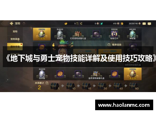 《地下城与勇士宠物技能详解及使用技巧攻略》 《地下城与勇士宠物技能详解及使用技巧攻略》